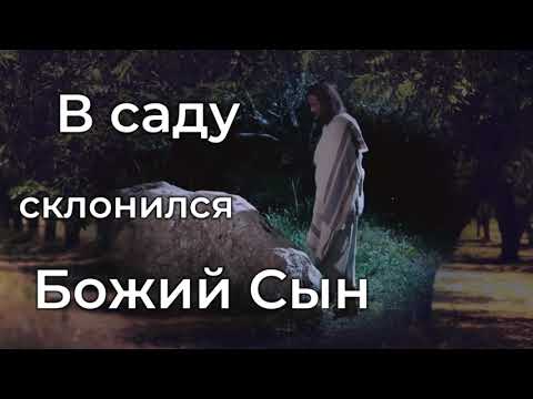 В саду склонился Божий Сын♫Прославление Песня♫