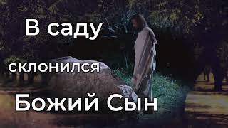 В саду склонился Божий Сын♫Прославление Песня♫