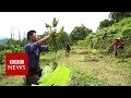 New video by BBC News on YouTube