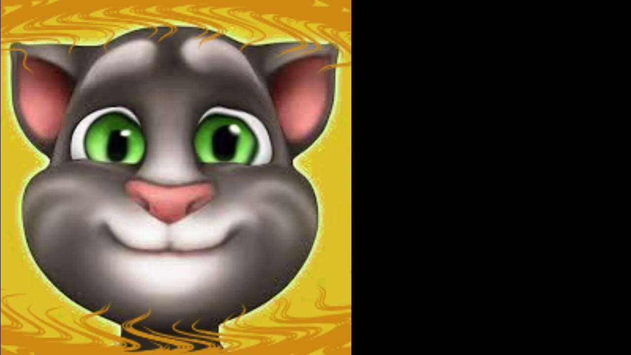 Talking tom 2 2011. Talking tom cat. Talking tom 2010. Игра talking tom cat (2010). Котик том.