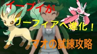 ポケモン サン ムーン実況 シェードジャングル マオの試練とイーブイをリーフィアへ進化させる方法 Youtube