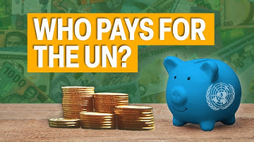 How Much Does the UN Really Cost?