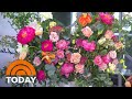Mother’s Day bouquets: Best flowers to buy, how to arrange them