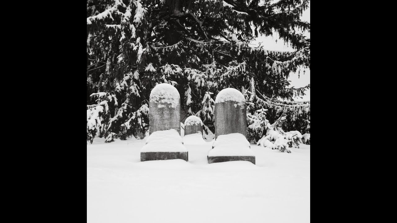 ⁣Feudal Illness - Dying Earth  (USBM | Full EP 2026)