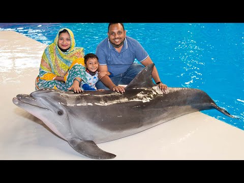 ডলফিনকে হাতে ধরে ছবি তুললাম | Dubai Dolphinarium
