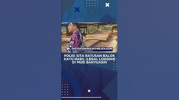 Kayu Hasil Ilegal Logging di Musi Banyuasin Disita Polisi