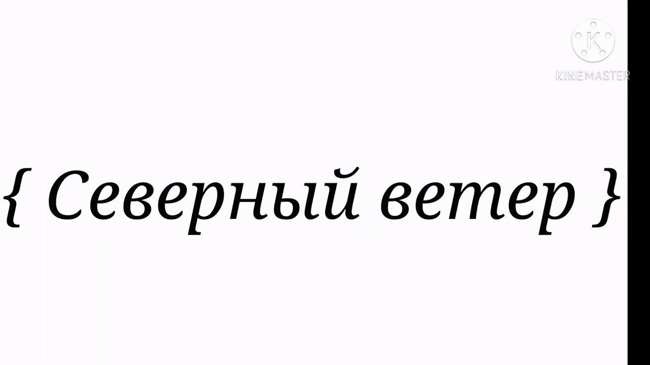 Что за компания Северный ветер. Северный ветер предложение