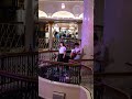 Cruiseship Music #cruise #retirement #cruiseline #carnivalcruise #venezia #cruiselife #cruisevlog