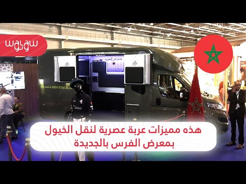 هذه مميزات عربة عصرية لنقل الخيول بمعرض الفرس بالجديدة
