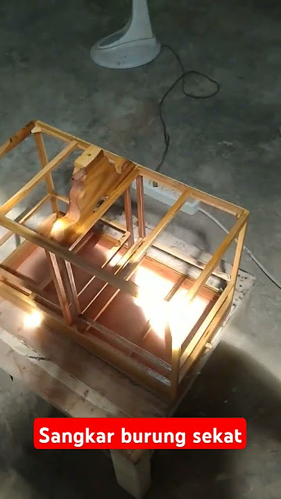 Sangkar sekat buat burung kecil. #sangkarburung