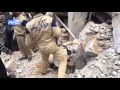 أريحا اليوم العثور على جثة الأستاذ أنس محمد خير رستم في السوق الرئيسي أريحا اليوم العثور على جثة الأستاذ أنس محمد خير رستم في السوق الرئيسي