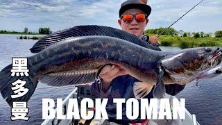 Black Toman Fishing 黑多曼之战 Samfactory Fishing Channel 萨姆工廠钓鱼频道