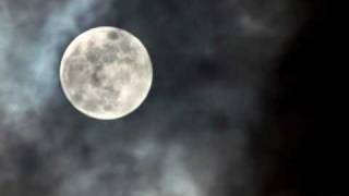 Video thumbnail of "Litfiba   Pierrot e la luna"