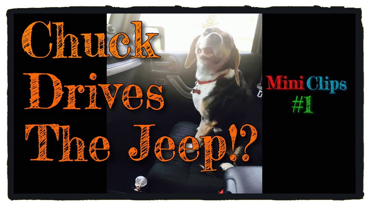 ethan david Chuck Drives the Jeep!? | MiniClips: Ep1