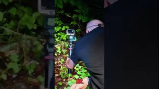 Copperhead on the Pee Trail #shorts