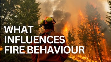 The Four Weather Elements that influence Fire Behaviour