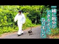 猫と出会って2年 買い物に付いてくる