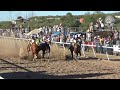 Carreras de Caballos en Cumpas 03 Noviembre 2018