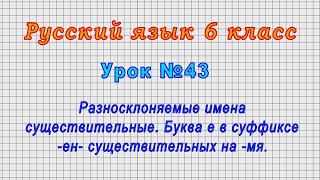 Русский язык 6 класс (Урок№43 - Разносклоняемые имена существительные.)
