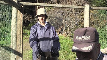 映画「リトル・フォレスト　夏・秋」予告編　橋本愛が主演