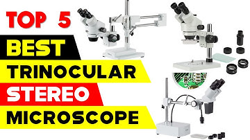 Top 5 Best Trinocular Stereo Microscope 2024