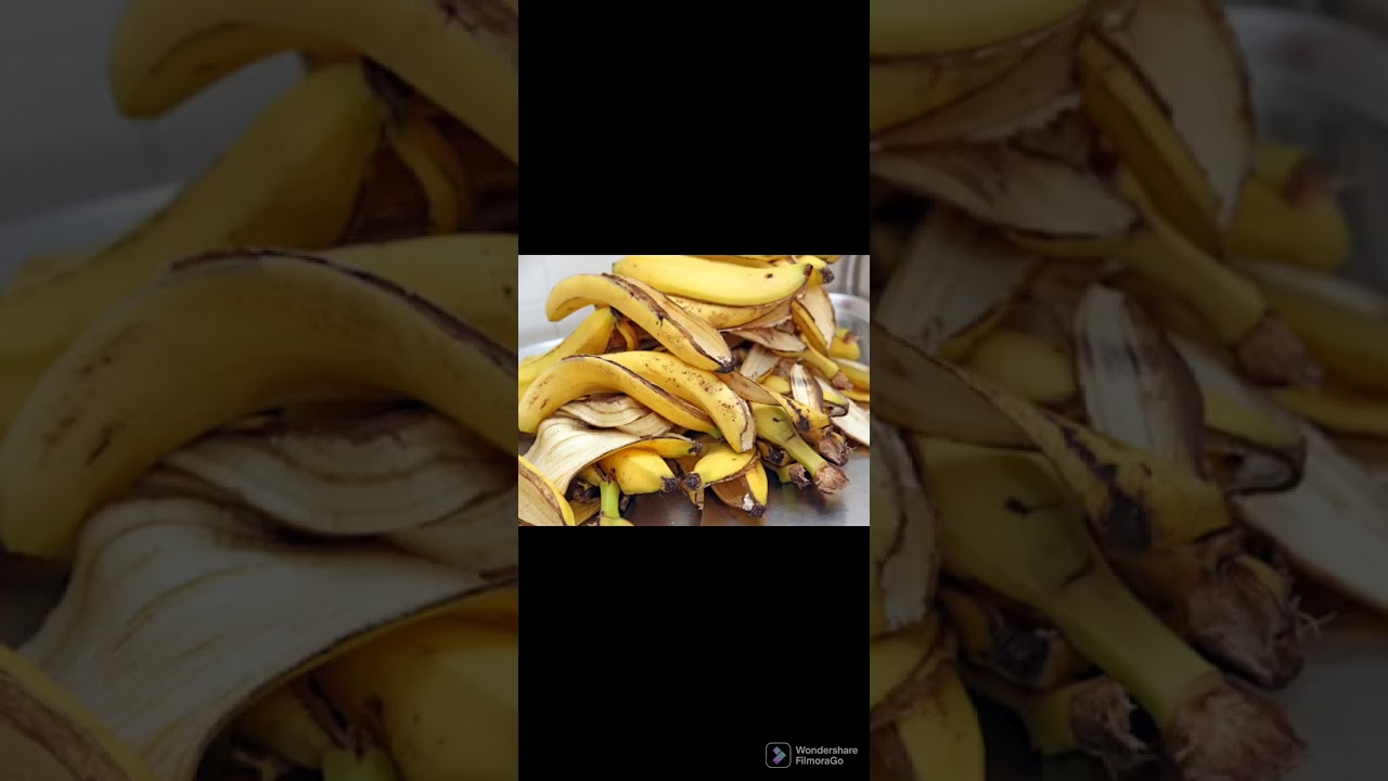 ASTUCES TOP ENGRAIS NATUREL EST PUISSANT " LA RECETTE DE DYCLAN"100% BIO ET EFFICACE