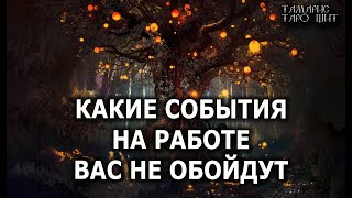 КАКИЕ СОБЫТИЯ НА РАБОТЕ ВАС НЕ ОБОЙДУТ 🔥 гадание 🔥 расклад 🔥 таро