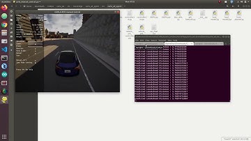 Adaptive Lookahead Distance Prediction using Reinforcement Learning