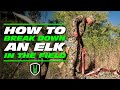 How to Break Down an Elk in the Field