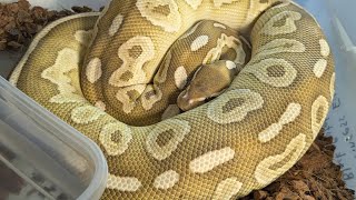 I Was Wrong About The Er Gene