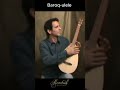 How to Tune a Baroq-ulele in 30 Seconds 🎶 (Super Easy!) #roosebeck #shorts