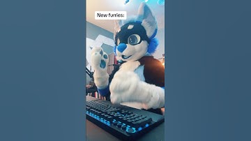 How to get a cheap fursuit! (Furry fandom)