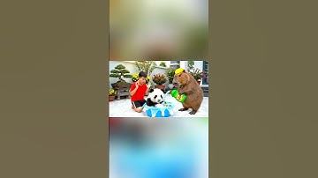Capy cùng anh giúp bà tắm cho con gấu trúc và cái kết #capybara