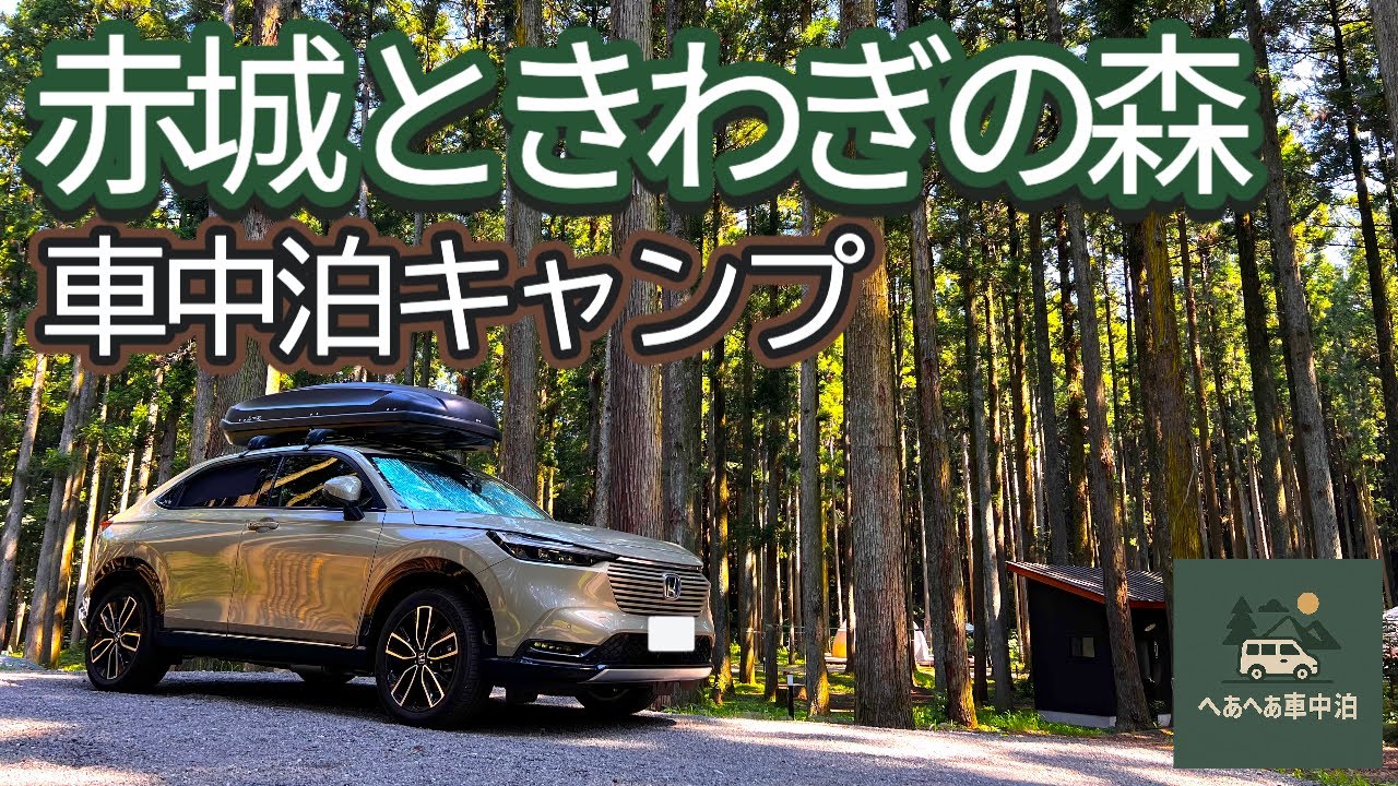 【赤城ときわぎの森キャンプ場】猛暑でも森林サイトで車中泊キャンプを楽しむ!!かき氷に焼肉!!生ビール飲んだら酔いと熱中症でダウン!?