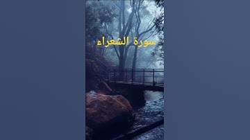 الشيخ محمد صديق المنشاوي من سورة الشعراء