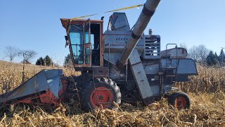 Harvesting Corn With a Gleaner Combine