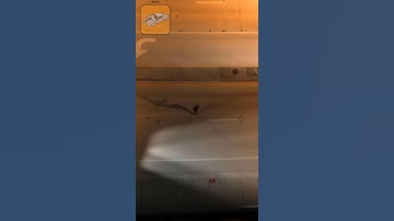 Virtual CRASH 5 | Trip and Fall with Easy Human Animation Tool