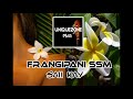 Frangipani ssm  saii kay vol 2 png music 2020