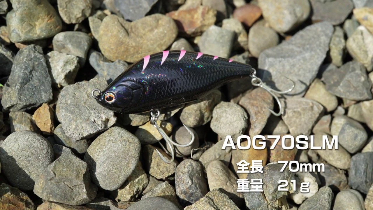 しかちゃんと野原で遊ぼうよ 房総の石鯛軍団魚遊会 釣れない釣師のたわごと