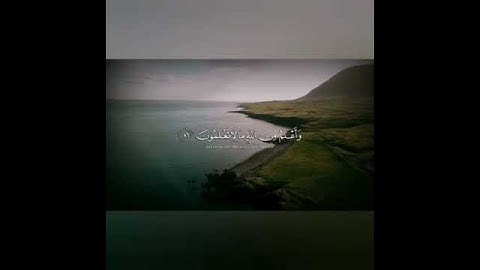 قرآن كريم بصوت القارئ : خالد الجليل || أجمل حالات واتس قرأن || Quran Status 💛