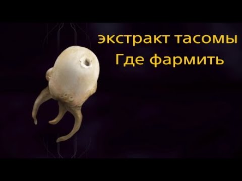 Экстракт тасомы. Экстракт Тасомы варфрейм. Warframe дендритная бластома. Росток конлы варфрейм где найти.