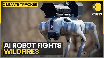 Quadruped Robot Engages In Forest Firefighting Drill In China | World News | WION Climate Tracker