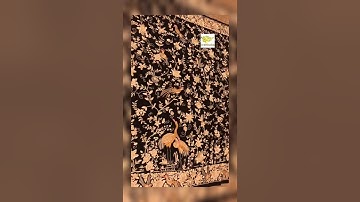 Parsi Gara handembroidery on Pure Georgette drape