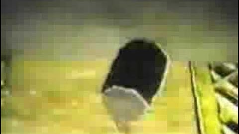 hutchison antigravity effect