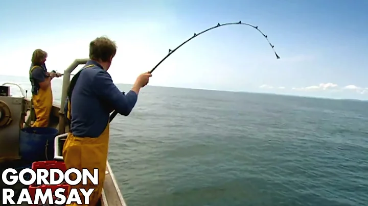 Gordon Ramsay Fishes & Cooks Conger Eel | Gordon R...