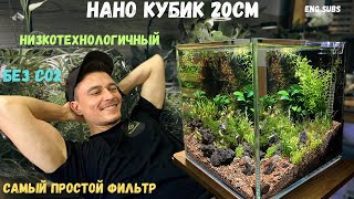 НИЗКОТЕХНОЛОГИЧНЫЙ НАНО КУБИК 20СМ | NANO CUBE LOW-TECH AQUARIUM 20CM