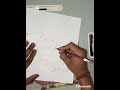 Parrot Drawing #drawing #art #drawingofbird #parrotdrawing #easydrawing #easyparrotdrawing