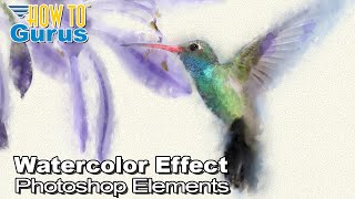 How You Can Do a Fun Photoshop Elements Watercolor Painting Effect screenshot 5