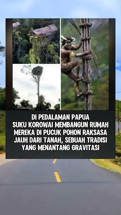 KISAH SUKU PEDALAMAN PAPUA