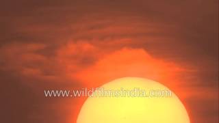 Celebrity Capturing a partial solar eclipse up close! Wealth